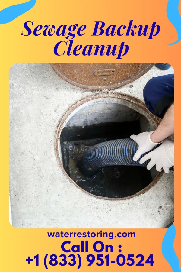 Sewage Backup Cleanup in Inverness, MS